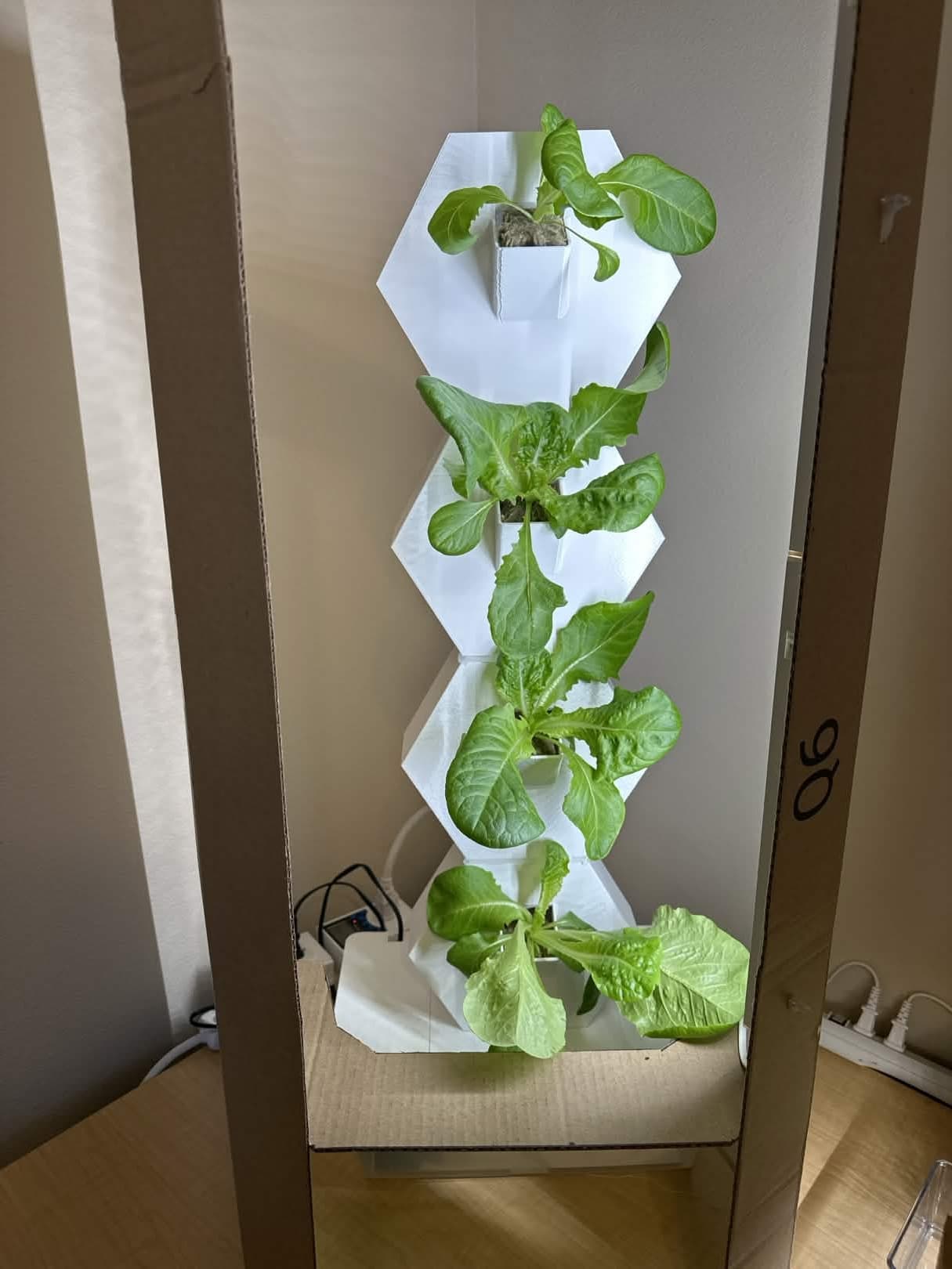 Custom 3D printed hydroponics tower with buttercrunch lettuce growing